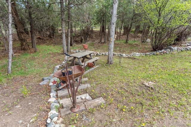 1638 County Road 46, Howard, CO 81233 - view of yard