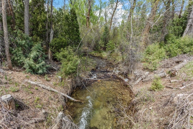 1638 County Road 46, Howard, CO 81233 - view of nature