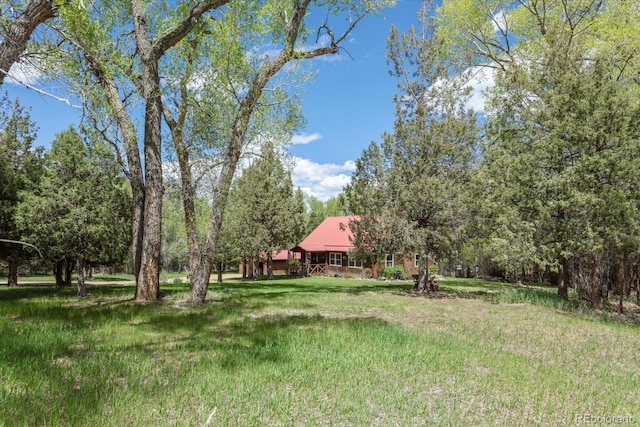 1638 County Road 46, Howard, CO 81233 - view of grassy yard