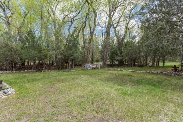 1638 County Road 46, Howard, CO 81233 - view of green lawn