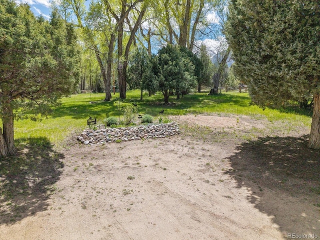 1638 County Road 46, Howard, CO 81233 - view of yard