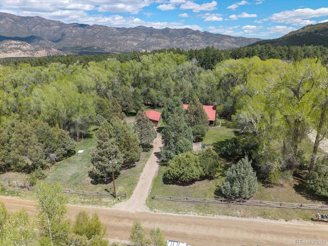 1638 County Road 46, Howard, CO 81233 - aerial view of property's location with a heavily wooded area and a mountain backdrop