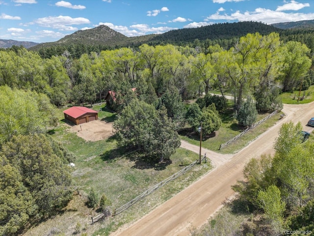 1638 County Road 46, Howard, CO 81233 - drone / aerial view of a forest and a mountainous background