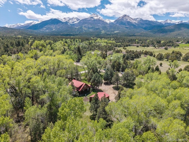 1638 County Road 46, Howard, CO 81233 - aerial view of a forest and a mountain backdrop