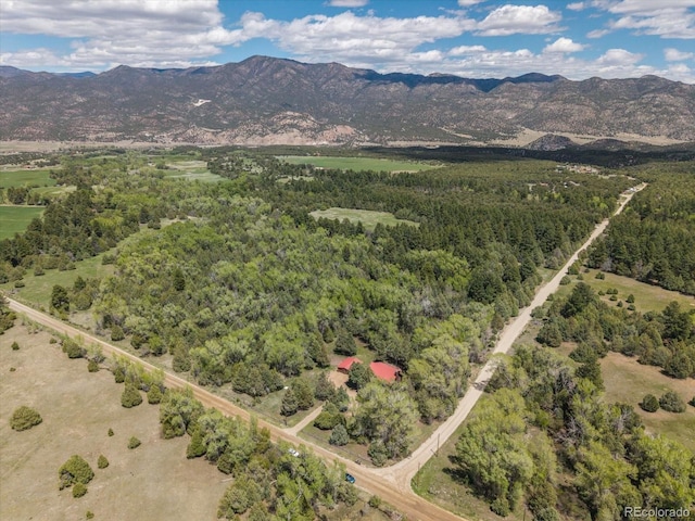 1638 County Road 46, Howard, CO 81233 - aerial view of a mountain backdrop and a forest