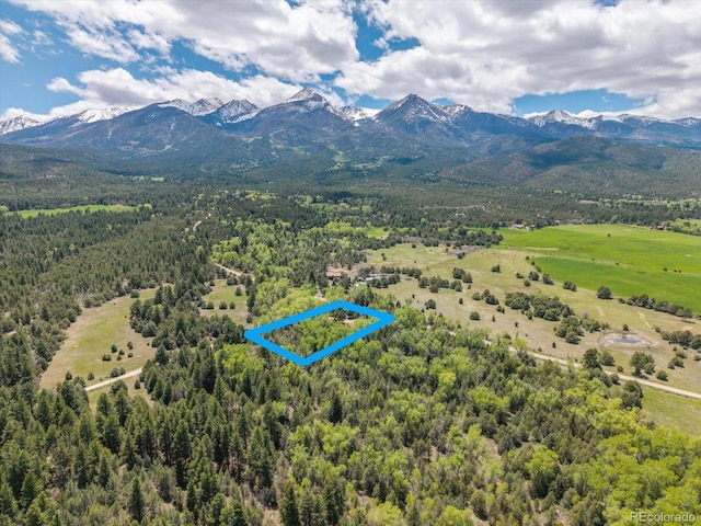 1638 County Road 46, Howard, CO 81233 - view of property location with a heavily wooded area, property parcel outlined, and a mountainous background