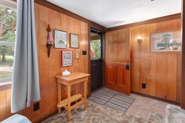 1638 County Road 46, Howard, CO 81233 - foyer entrance with wooden walls and healthy amount of natural light