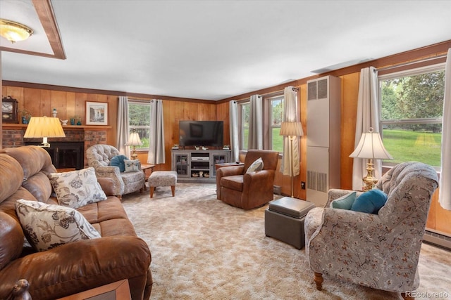 1638 County Road 46, Howard, CO 81233 - carpeted living room featuring a fireplace and wood walls