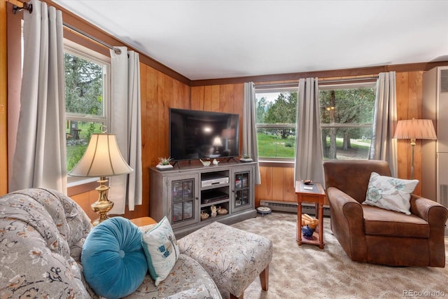 1638 County Road 46, Howard, CO 81233 - living area with a baseboard heating unit, plenty of natural light, wood walls, and carpet flooring