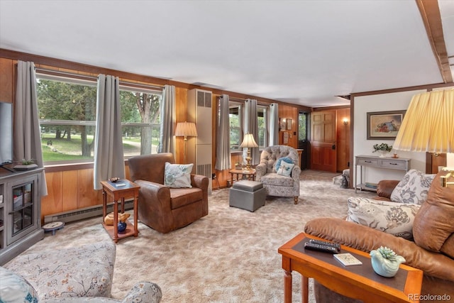 1638 County Road 46, Howard, CO 81233 - carpeted living room featuring baseboard heating, wooden walls, ornamental molding, and a wood stove