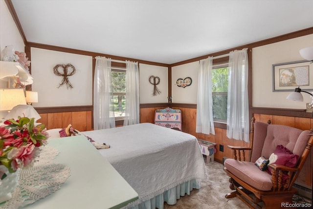 1638 County Road 46, Howard, CO 81233 - bedroom with a wainscoted wall, multiple windows, wood walls, ornamental molding, and carpet flooring