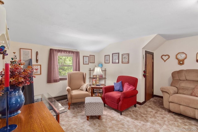 1638 County Road 46, Howard, CO 81233 - living area featuring vaulted ceiling, light carpet, and baseboards