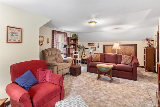 1638 County Road 46, Howard, CO 81233 - living area with carpet floors