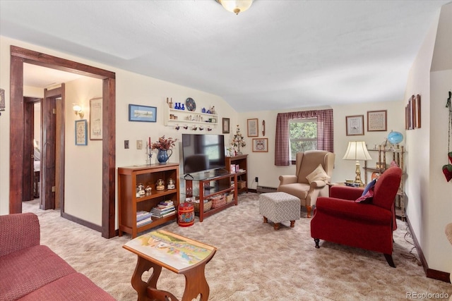 1638 County Road 46, Howard, CO 81233 - carpeted living room with baseboards and baseboard heating