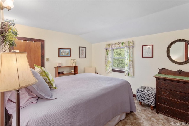 1638 County Road 46, Howard, CO 81233 - carpeted bedroom with lofted ceiling