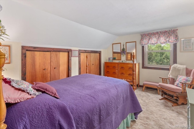 1638 County Road 46, Howard, CO 81233 - carpeted bedroom with vaulted ceiling and two closets