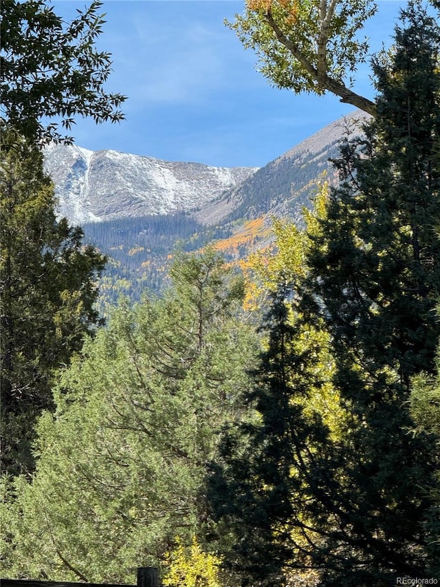 1638 County Road 46, Howard, CO 81233 - view of mountain background featuring a forest