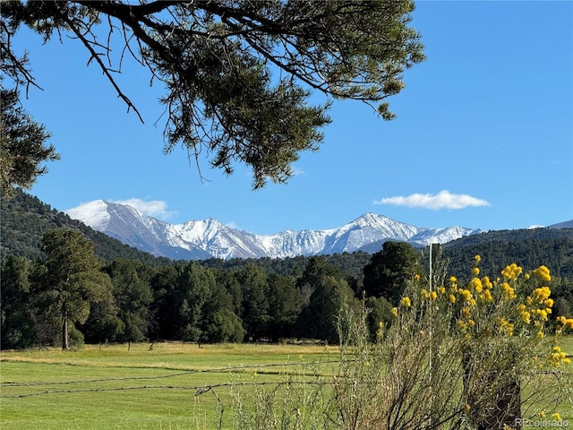 1638 County Road 46, Howard, CO 81233 - view of mountain background with a forest