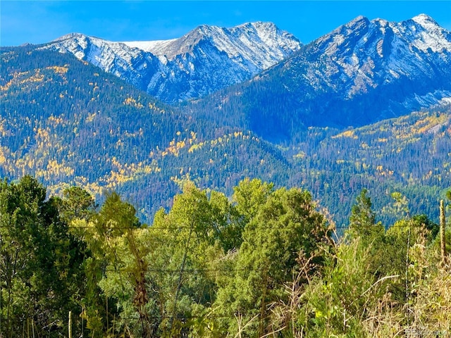 1638 County Road 46, Howard, CO 81233 - view of mountain background with a forest
