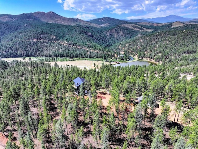 16596 Ouray Rd, Pine, CO 80470 - photo 3