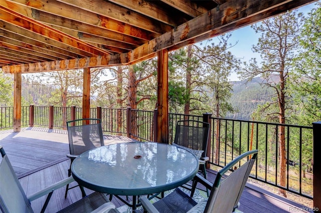 16596 Ouray Rd, Pine, CO 80470 - photo 35