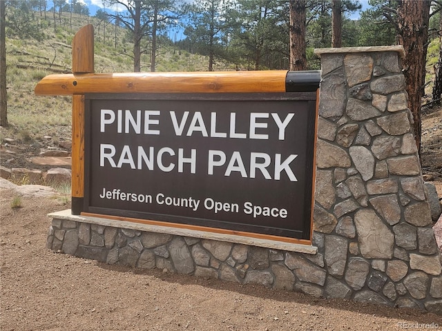16596 Ouray Rd, Pine, CO 80470 - photo 45