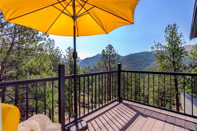 16596 Ouray Rd, Pine, CO 80470 - photo 25