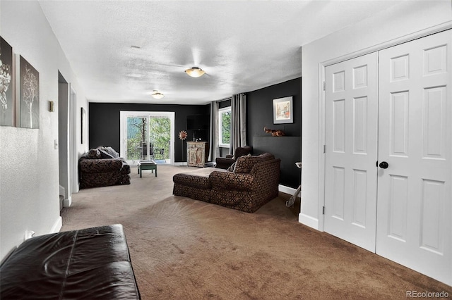 16596 Ouray Rd, Pine, CO 80470 - photo 29