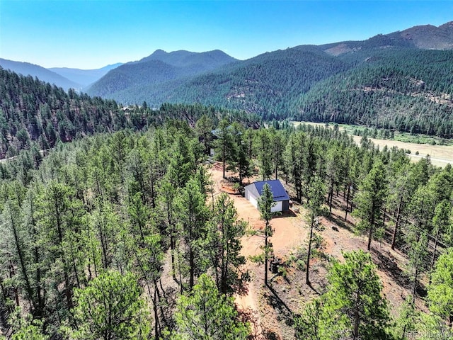 16596 Ouray Rd, Pine, CO 80470 - photo 36
