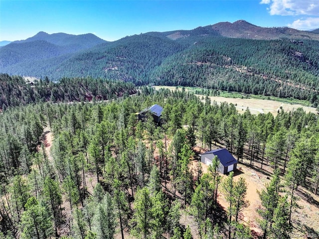 16596 Ouray Rd, Pine, CO 80470 - photo 37