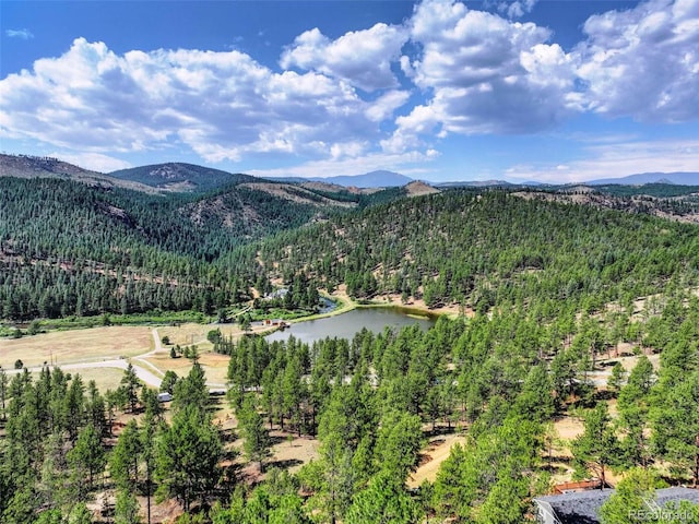 16596 Ouray Rd, Pine, CO 80470 - photo 40