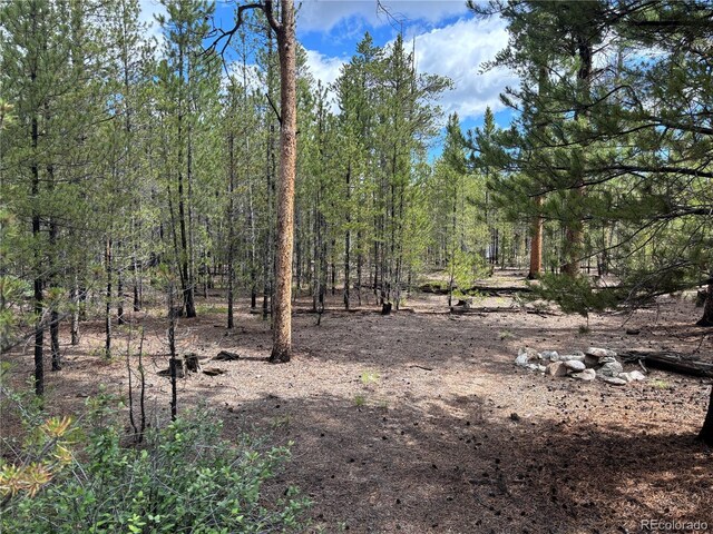 399 Fir Dr, Twin Lakes, CO 80461 - photo 1