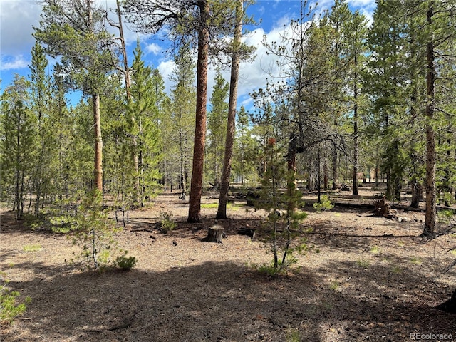 399 Fir Dr, Twin Lakes, CO 80461 - photo 2