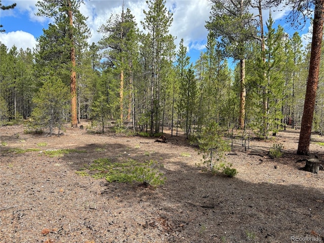 399 Fir Dr, Twin Lakes, CO 80461 - photo 3