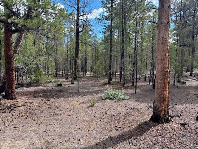 399 Fir Dr, Twin Lakes, CO 80461 - photo 4