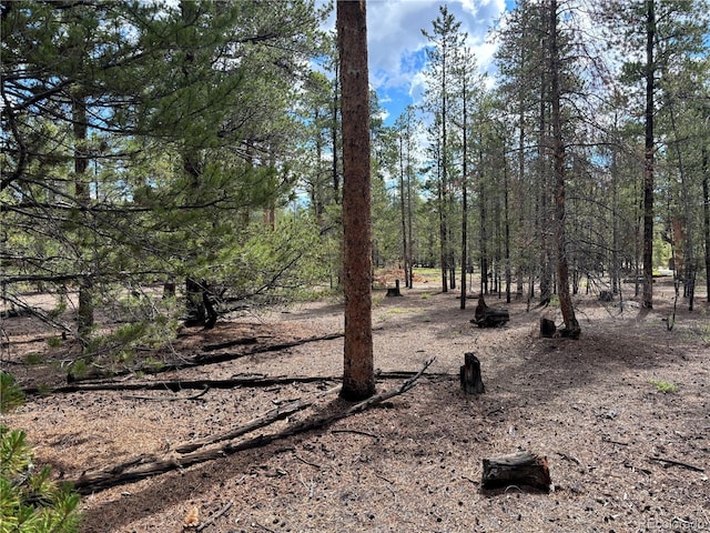 399 Fir Dr, Twin Lakes, CO 80461 - photo 5