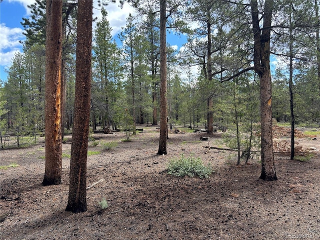 399 Fir Dr, Twin Lakes, CO 80461 - photo 6