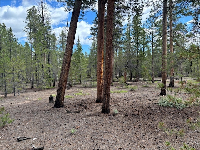 399 Fir Dr, Twin Lakes, CO 80461 - photo 7