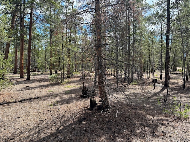 399 Fir Dr, Twin Lakes, CO 80461 - photo 9