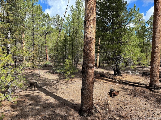 399 Fir Dr, Twin Lakes, CO 80461 - photo 10