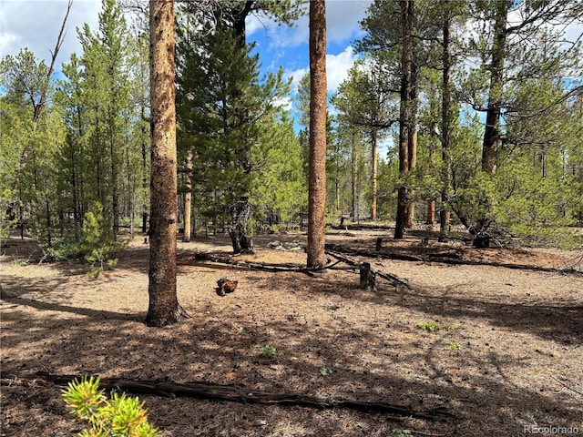 399 Fir Dr, Twin Lakes, CO 80461 - photo 11
