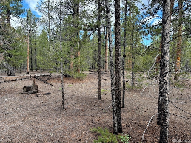399 Fir Dr, Twin Lakes, CO 80461 - photo 12