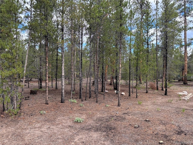 399 Fir Dr, Twin Lakes, CO 80461 - photo 13