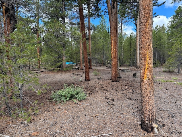 399 Fir Dr, Twin Lakes, CO 80461 - photo 14