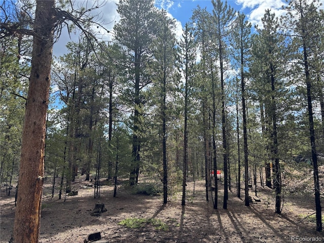 399 Fir Dr, Twin Lakes, CO 80461 - photo 15