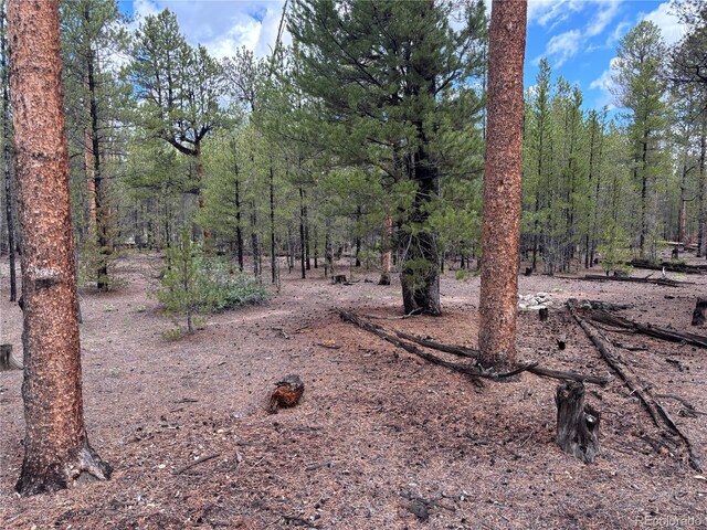 399 Fir Dr, Twin Lakes, CO 80461 - photo 16