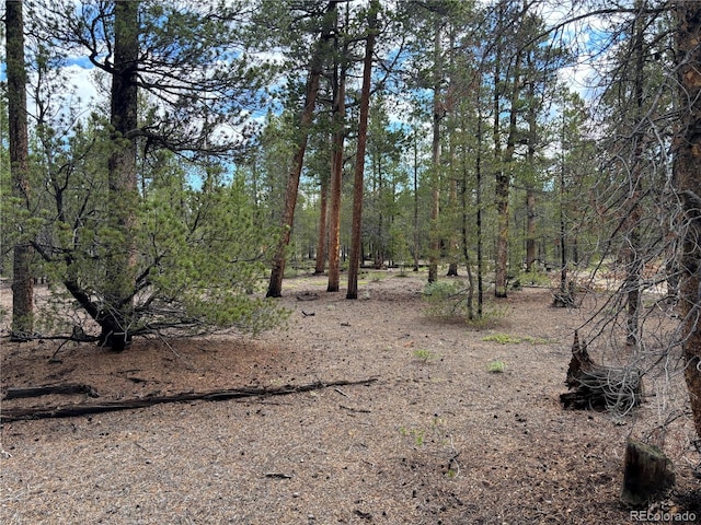 399 Fir Dr, Twin Lakes, CO 80461 - photo 18