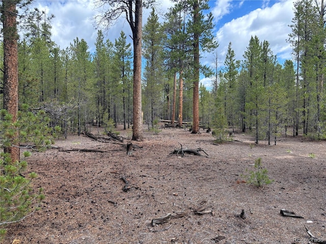 399 Fir Dr, Twin Lakes, CO 80461 - photo 20