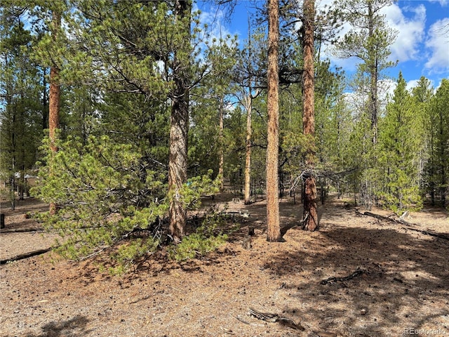 399 Fir Dr, Twin Lakes, CO 80461 - photo 21