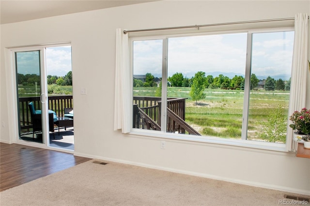 1766 Country Sun Dr, Windsor, CO 80550 - carpeted empty room featuring baseboards and wood finished floors